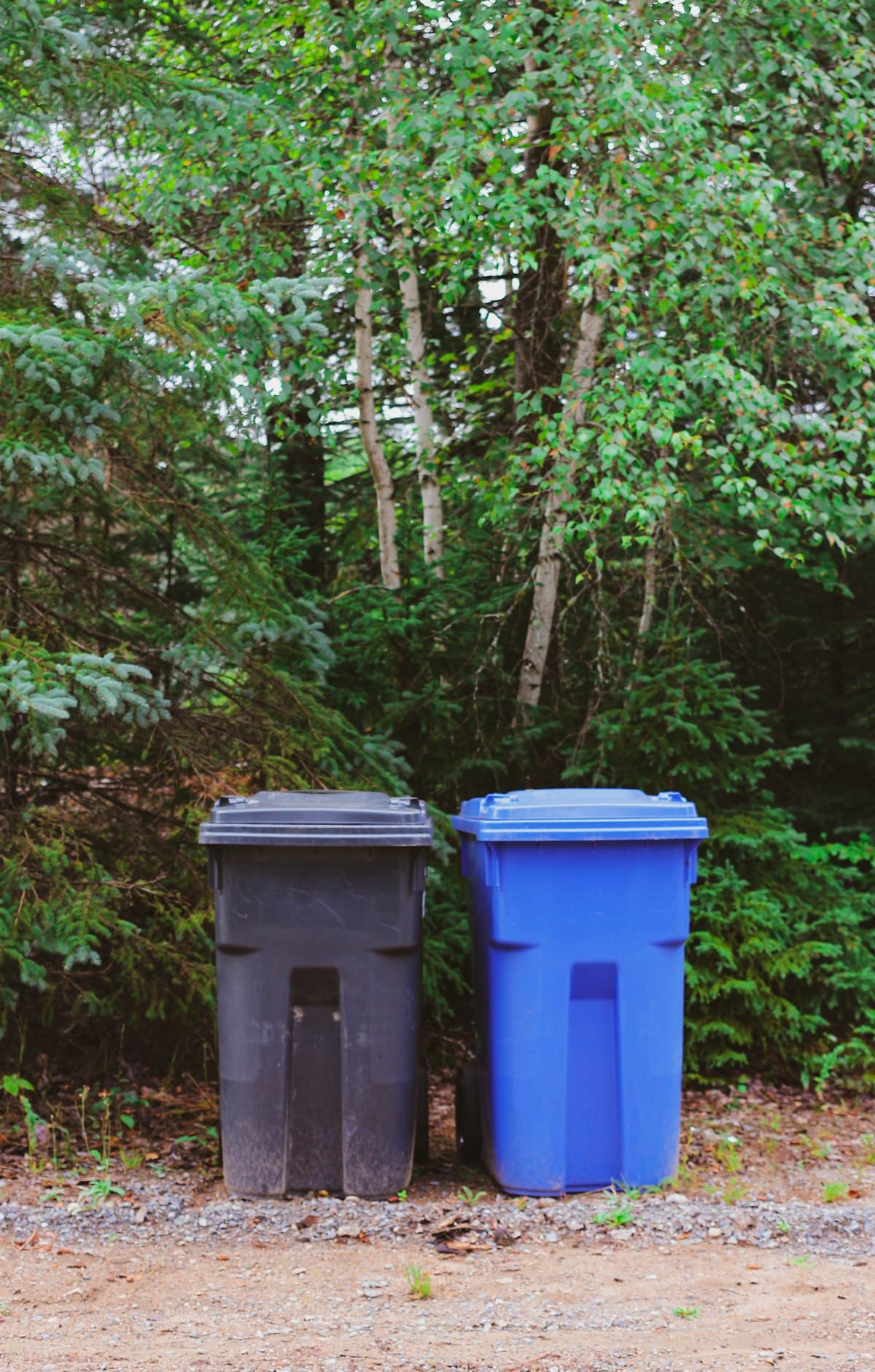 Bin Cleaning