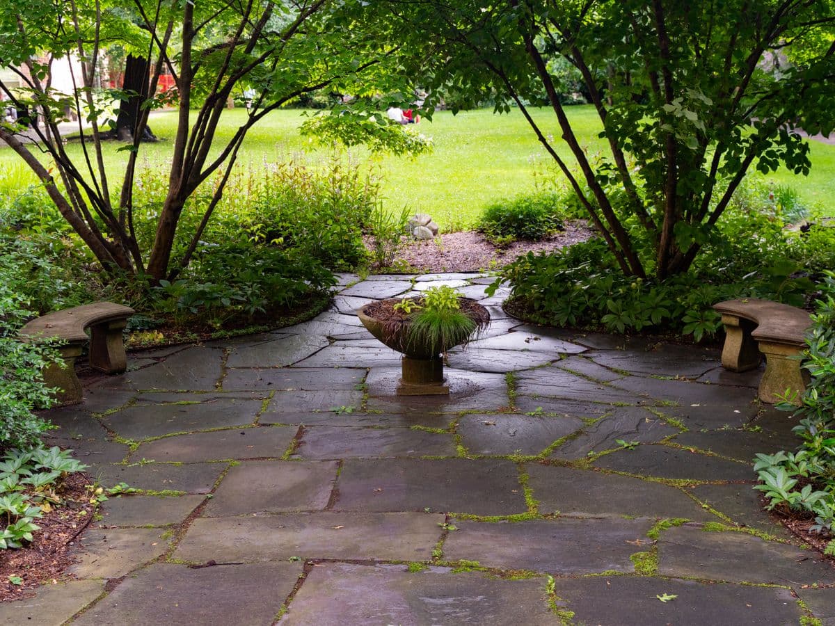 Patio Cleaning